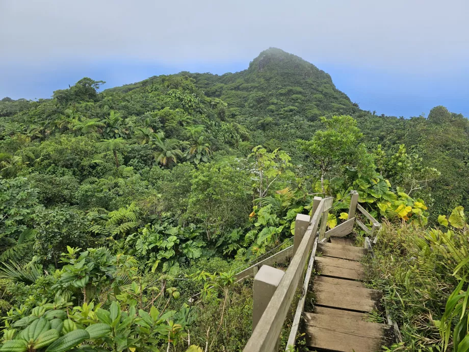 Sendero del Monte Scenery