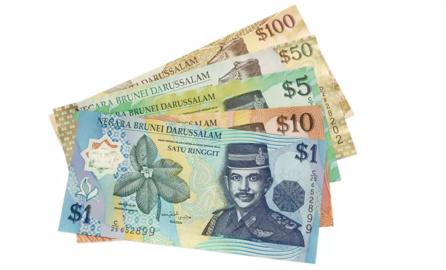 Dólar de Brunei