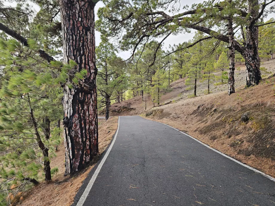 Carretera de montaña