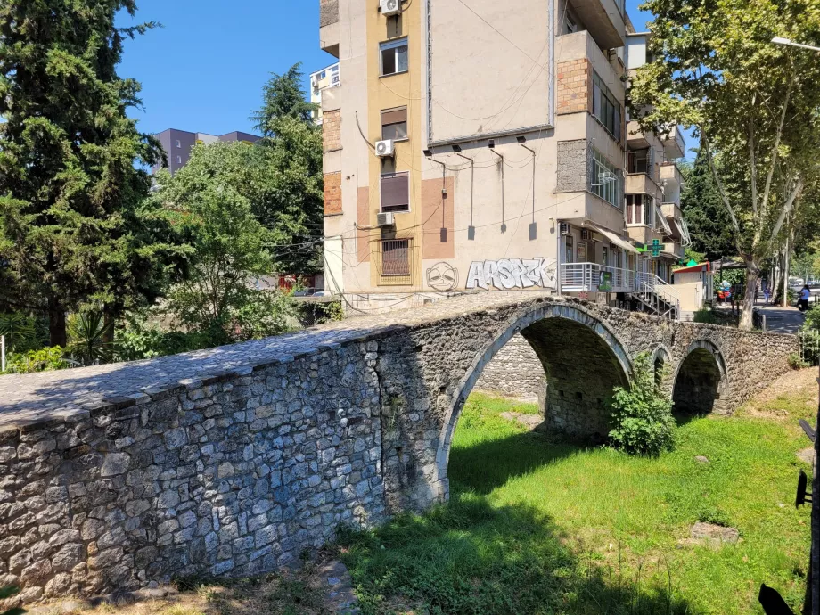 El puente de los tentáculos