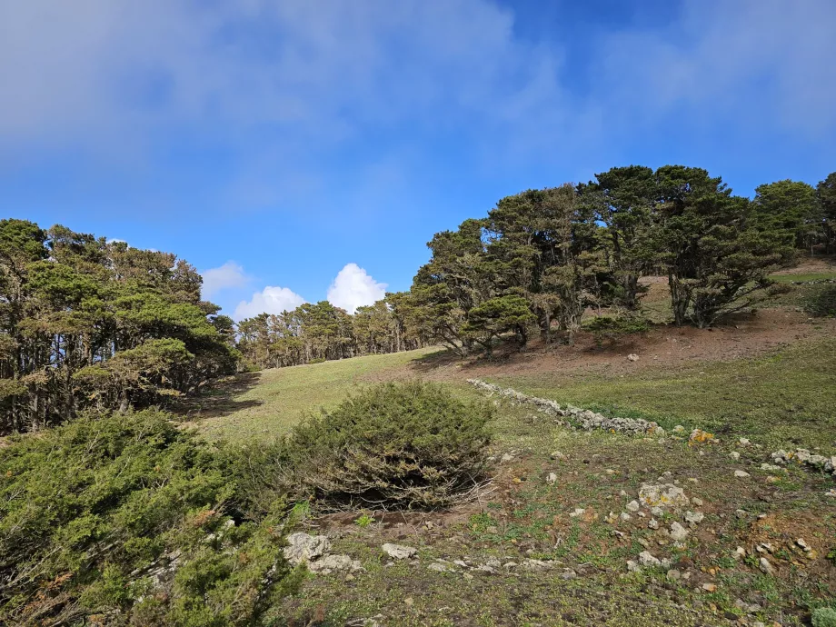 Oeste de El Hierro