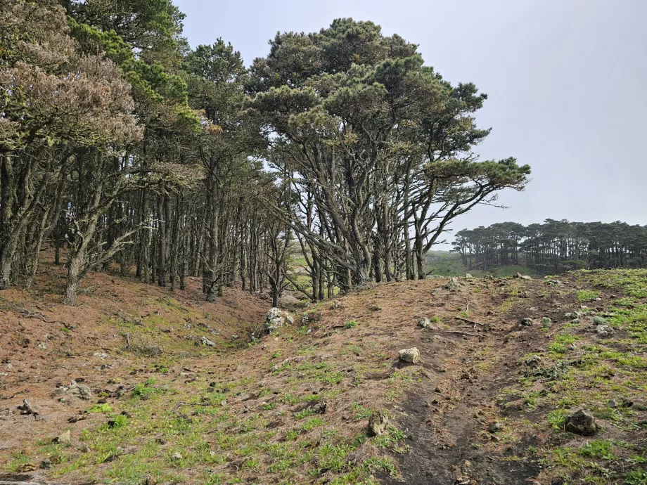 Oeste de El Hierro