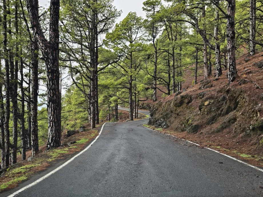 Carretera de El Julan