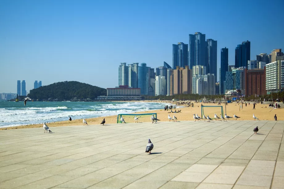 Playa de Haeundae