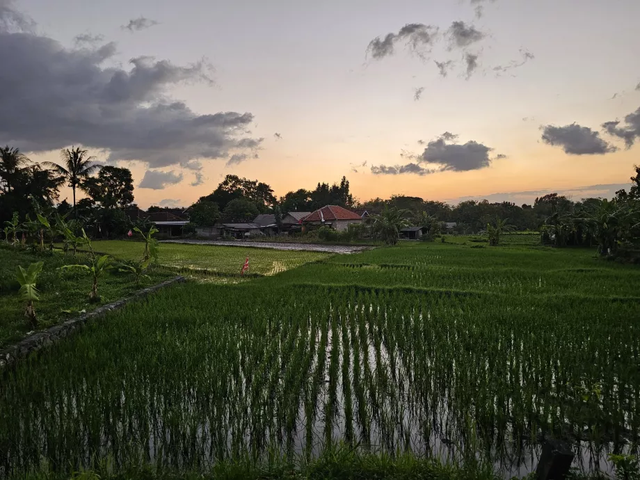 El camino a Ratu Boko