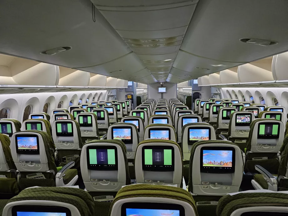 Clase turista, Boeing 787