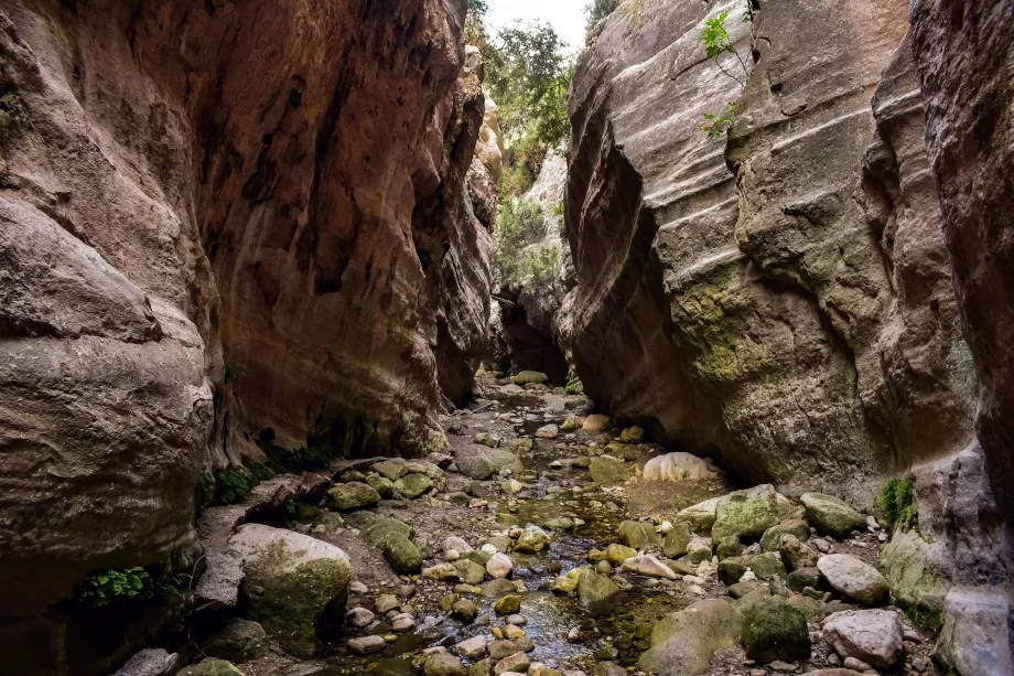 Garganta de Akamas