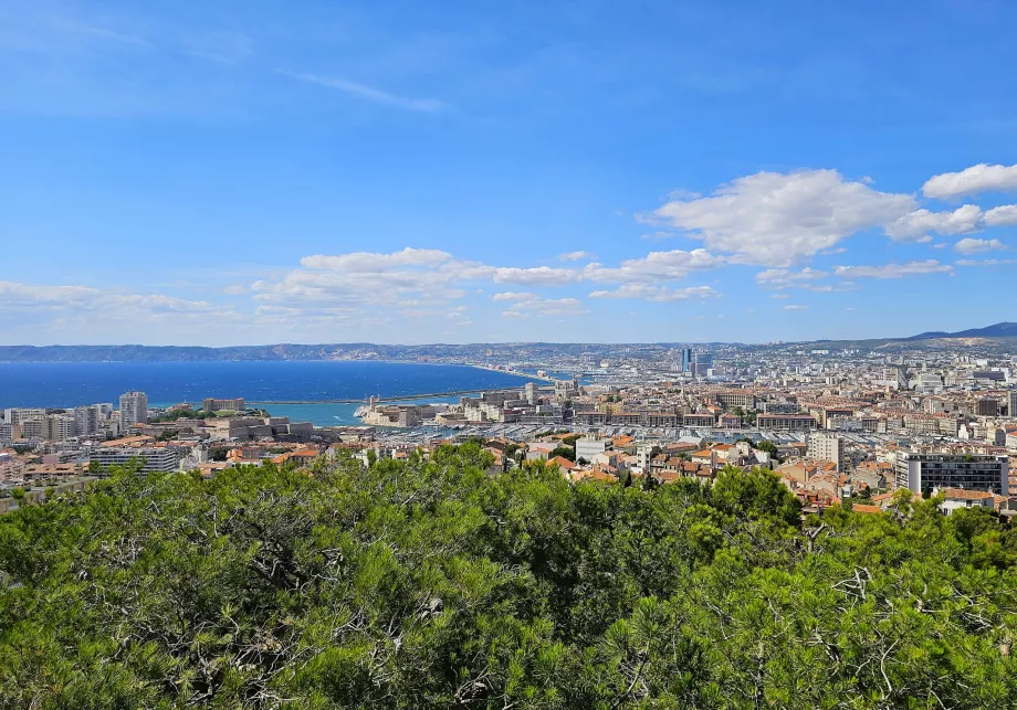 Vista desde la catedral de Notre-Dame