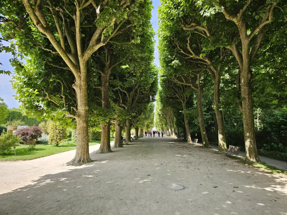 Jardín de las Plantas