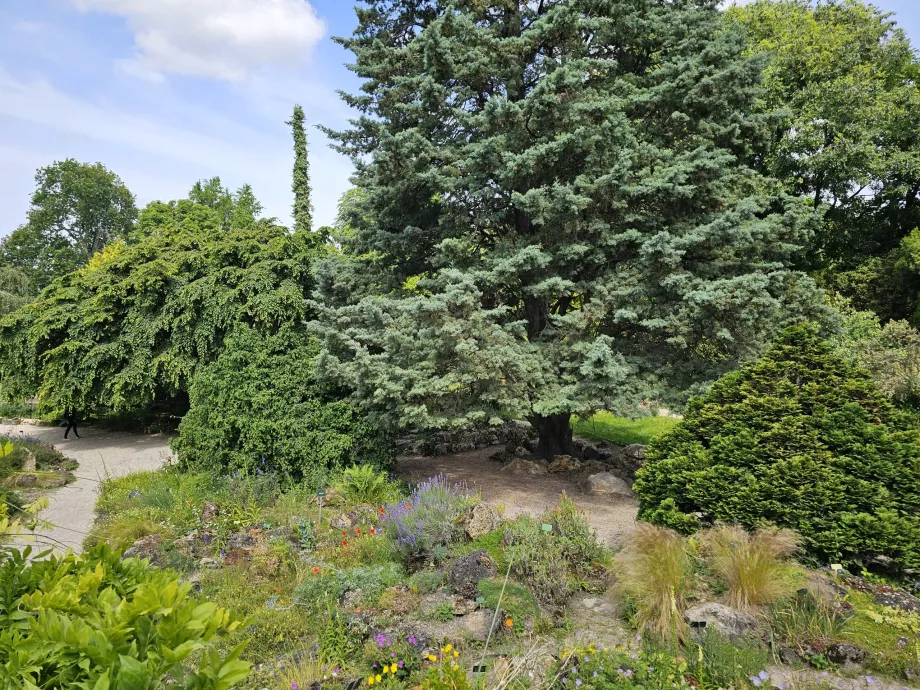 Jardín de las Plantas