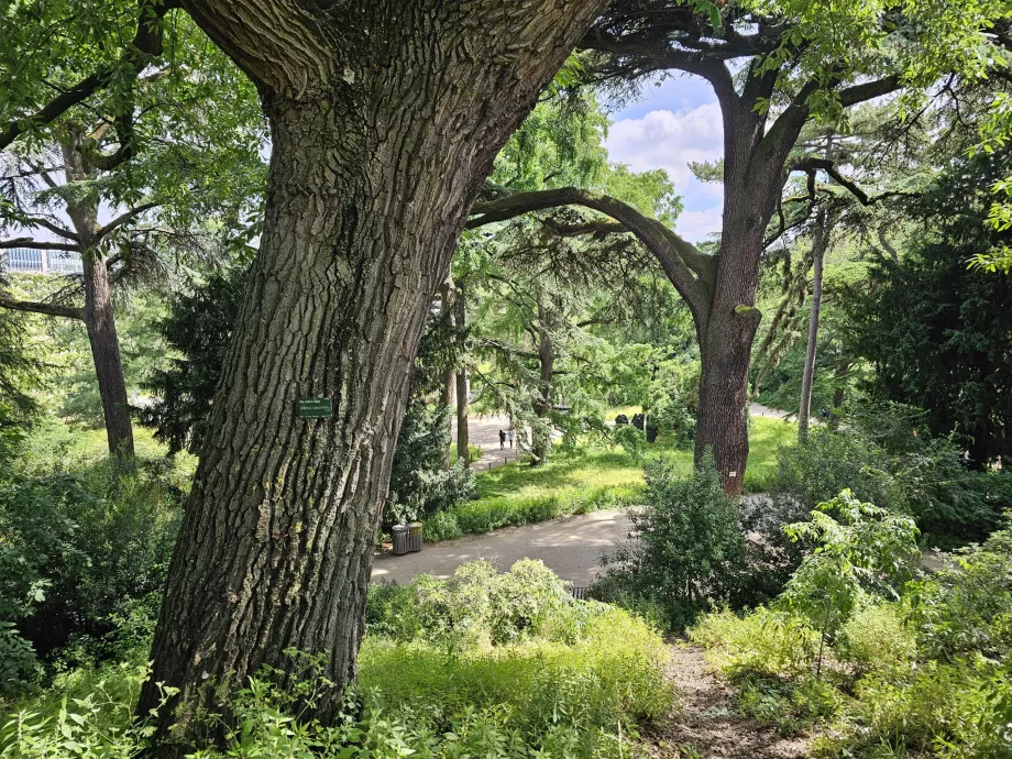 Jardín de las Plantas