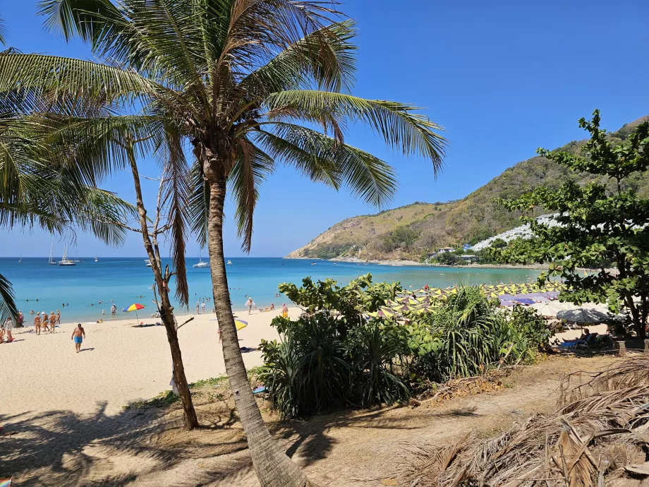 Playa de Nai Harn