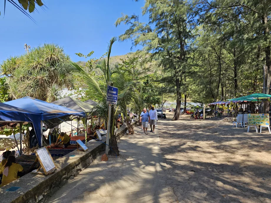 Pinos de la playa de Nai Harn