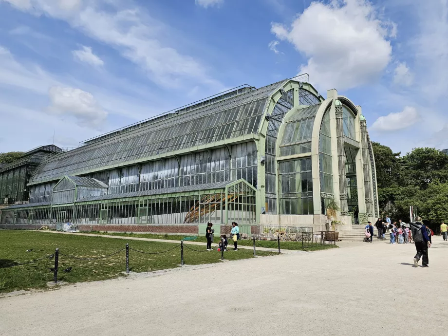 Invernadero del Jardin des Plantes