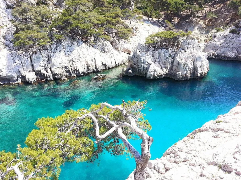 La bahía de Calanques