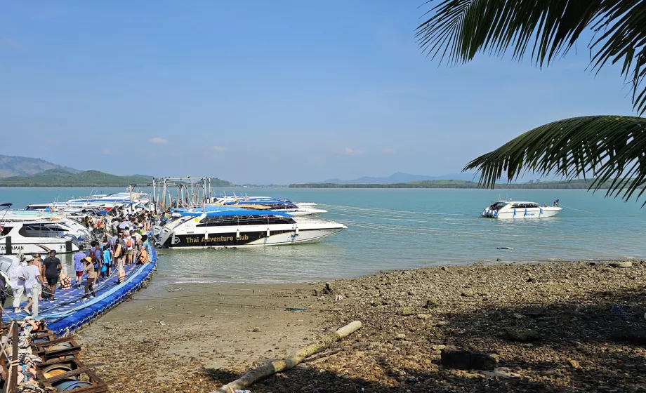 Barcos, viajes organizados