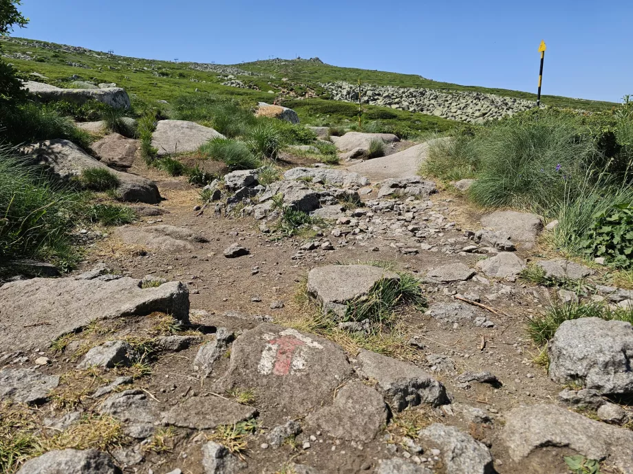 Ruta turística a Vitosha