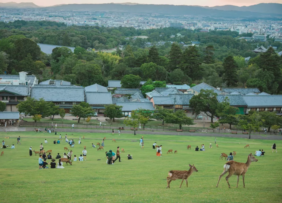 Vista desde el Parque de Nara