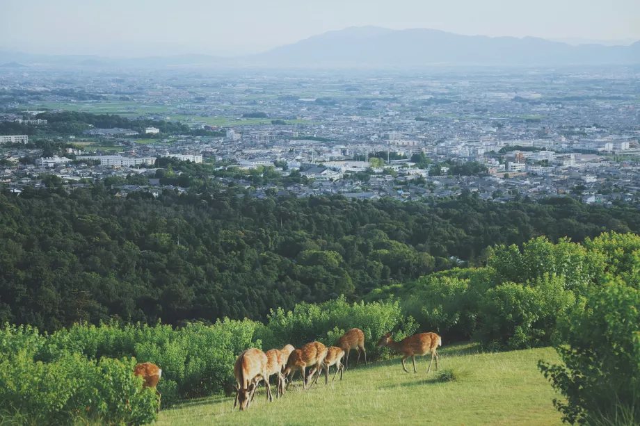 Vista desde el Parque de Nara