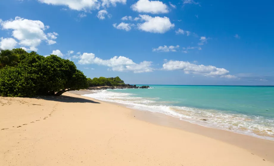 Bahía Feliz