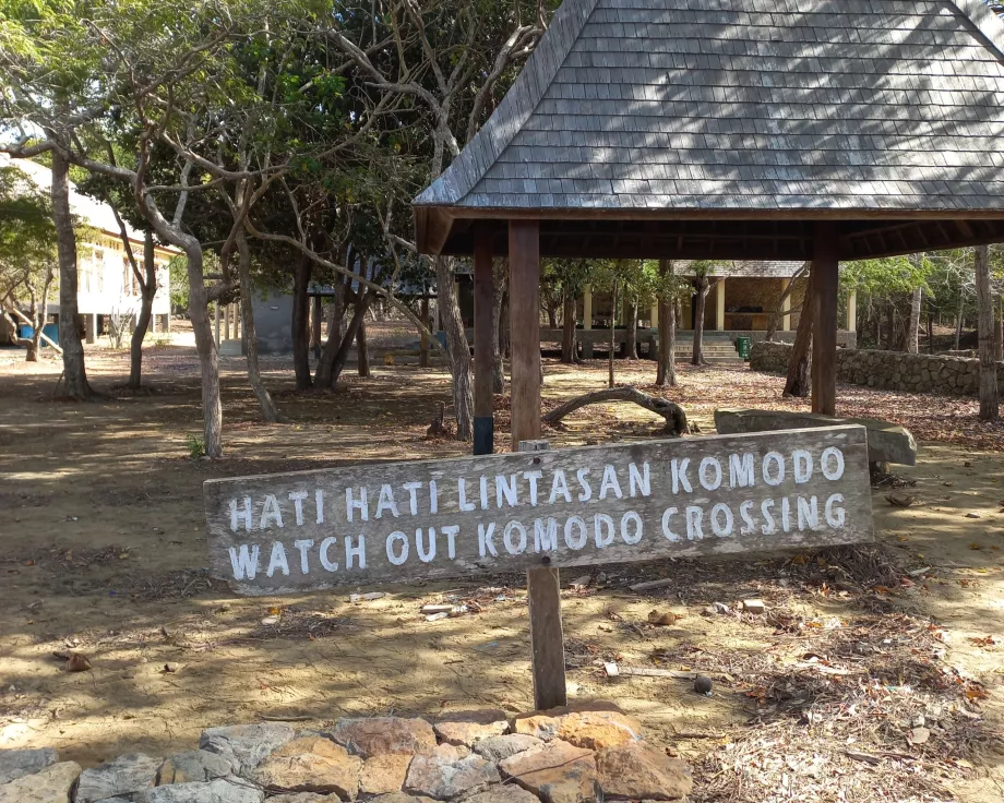 Atención, Varanus Islas de Komodo, Indonesia