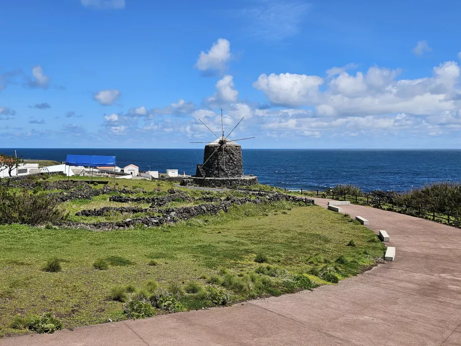 Molinos de viento