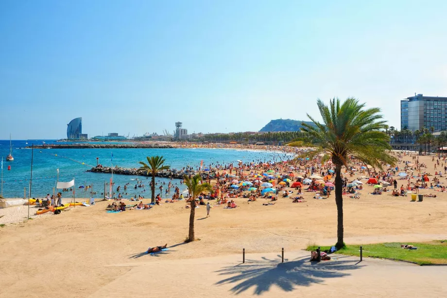 Playa de Barcelona