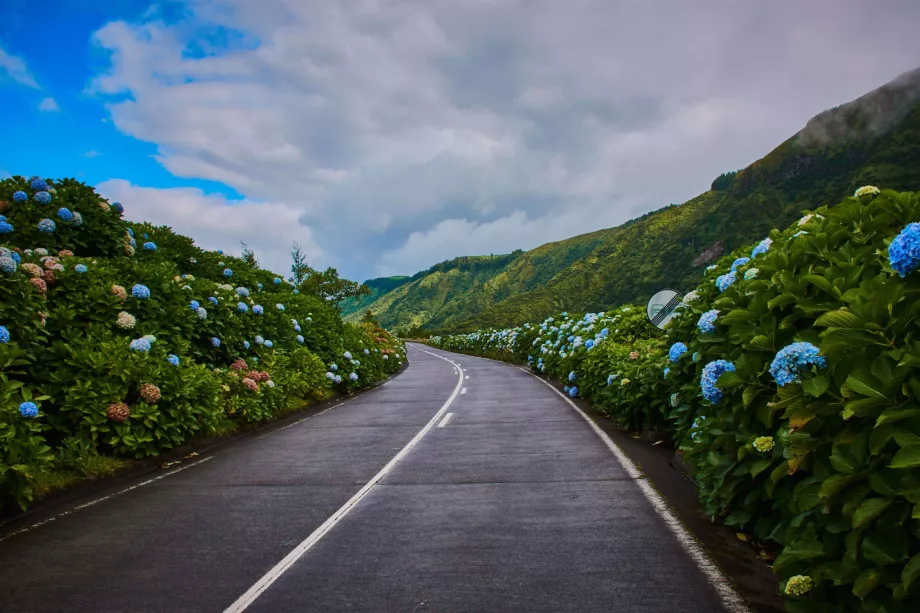 Carretera de Sao Miguel