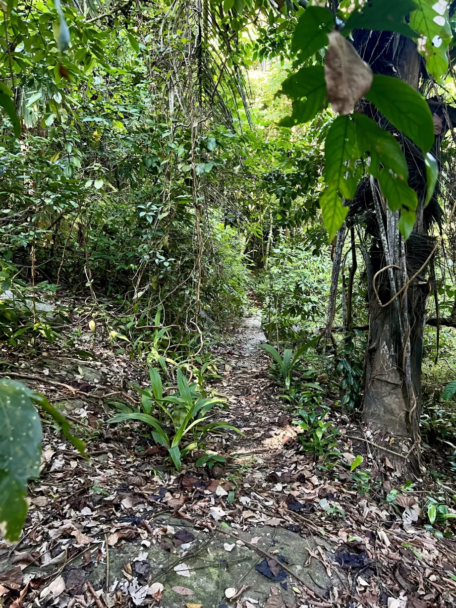 Paya trek a Genting, Tioman